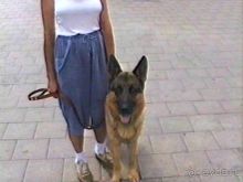 Вторая поездка в Германию на автомобиле: Гамбург