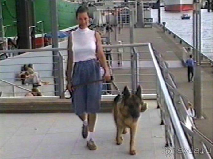 Вторая поездка в Германию на автомобиле: Гамбург