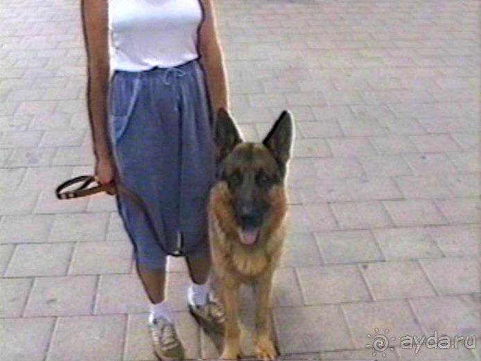 Вторая поездка в Германию на автомобиле: Гамбург