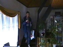 Впервые на машине в Германию с овчаркой: По Польше