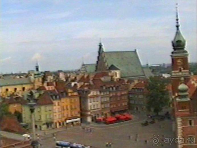 Впервые на машине в Германию с овчаркой: По Польше