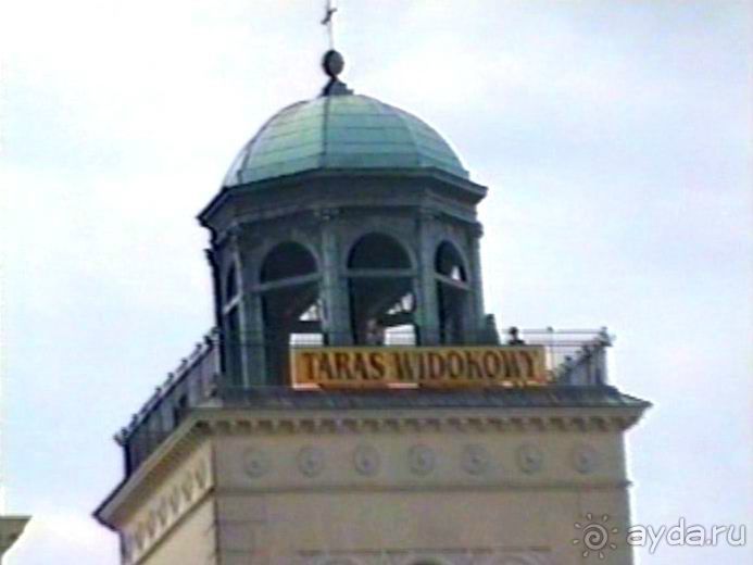 Впервые на машине в Германию с овчаркой: По Польше