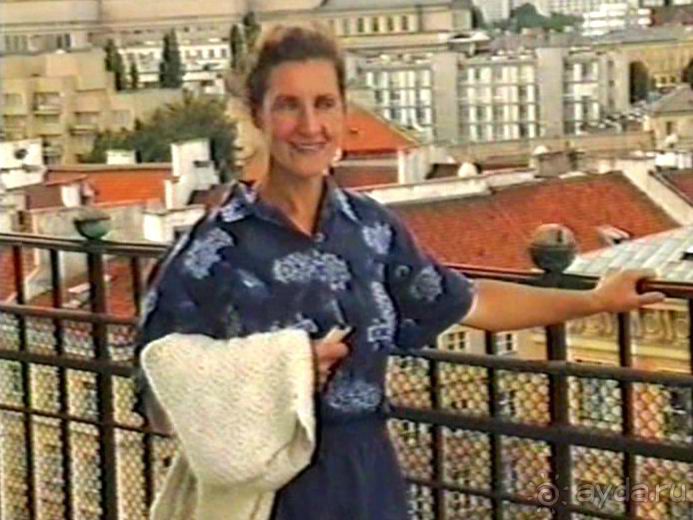 Впервые на машине в Германию с овчаркой: По Польше