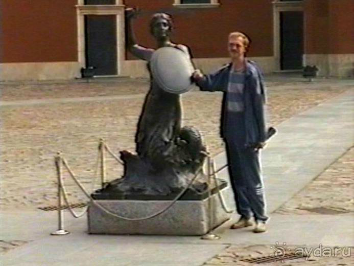 Впервые на машине в Германию с овчаркой: По Польше