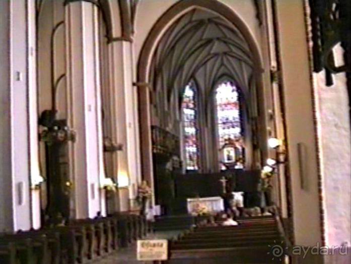 Впервые на машине в Германию с овчаркой: По Польше