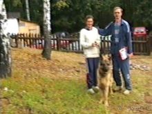 Впервые на машине в Германию с овчаркой: По Польше