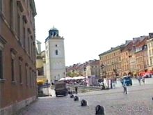 Впервые на машине в Германию с овчаркой: По Польше