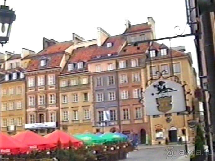 Впервые на машине в Германию с овчаркой: По Польше