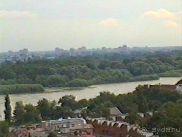 Впервые на машине в Германию с овчаркой: По Польше