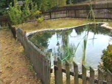 Впервые на машине в Германию с овчаркой: По Польше