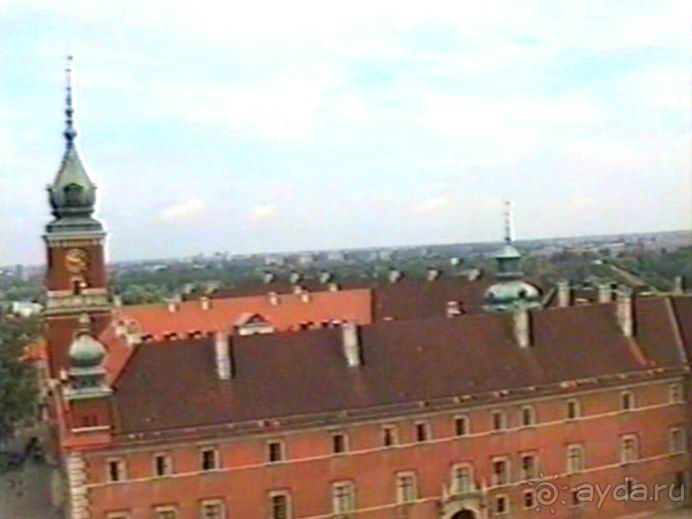 Впервые на машине в Германию с овчаркой: По Польше