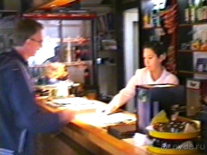 Впервые на машине в Германию с овчаркой: По Польше