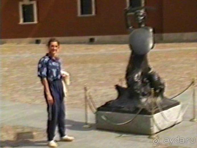 Впервые на машине в Германию с овчаркой: По Польше