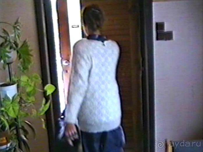 Впервые на машине в Германию с овчаркой: По Польше