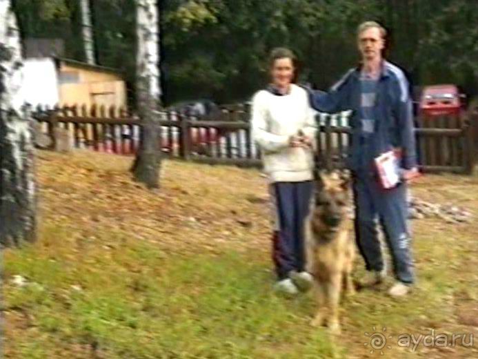 Впервые на машине в Германию с овчаркой: По Польше