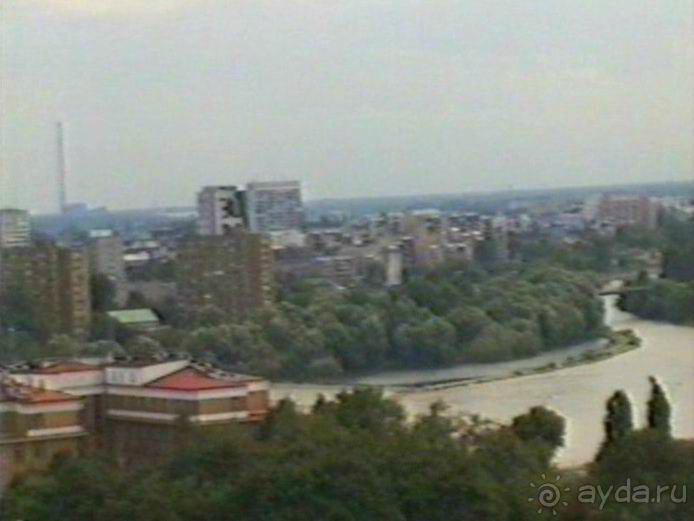 Впервые на машине в Германию с овчаркой: По Польше