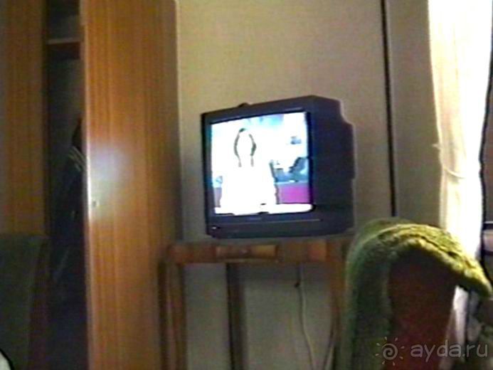 Впервые на машине в Германию с овчаркой: По Польше