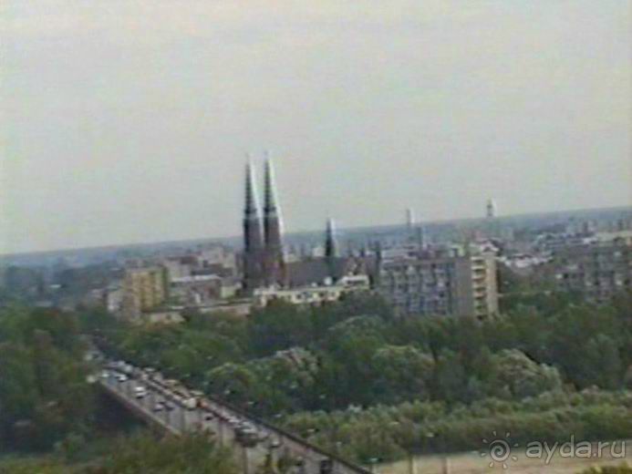 Впервые на машине в Германию с овчаркой: По Польше