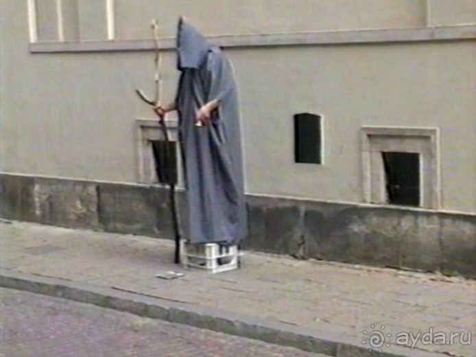 Впервые на машине в Германию с овчаркой: По Польше