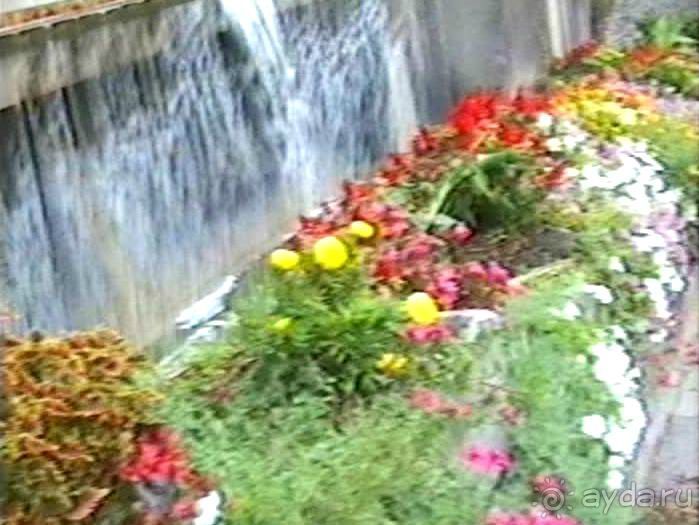 Лион и Дижон