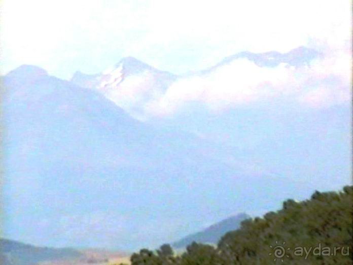 Лион и Дижон