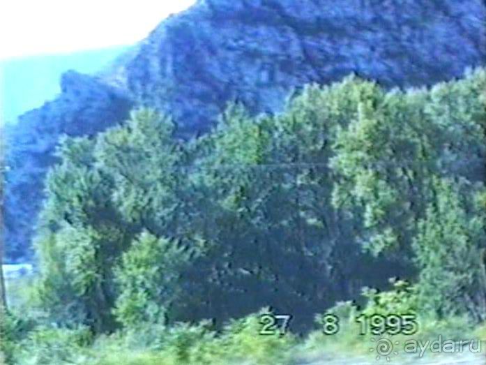 Лион и Дижон