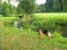 Долина Лаутер у Инделхаузена