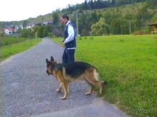 Долина Лаутер у Инделхаузена