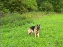 Долина Лаутер у Инделхаузена