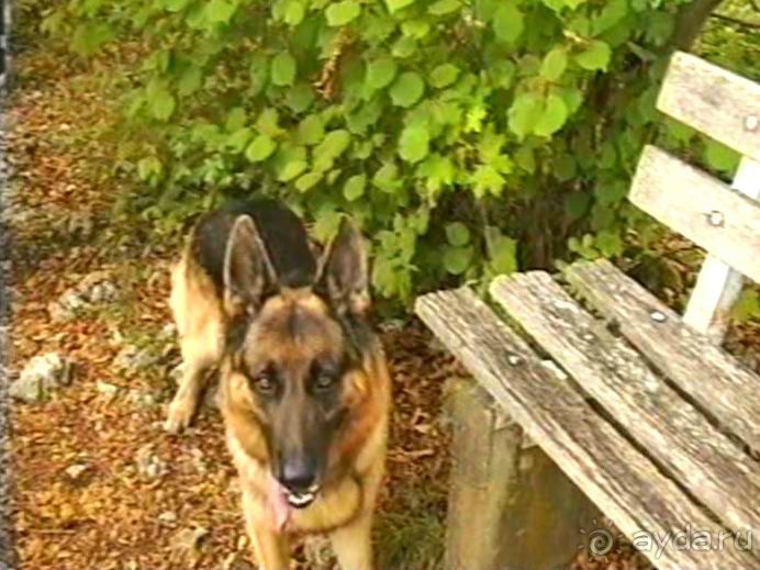 Долина Лаутер у Инделхаузена