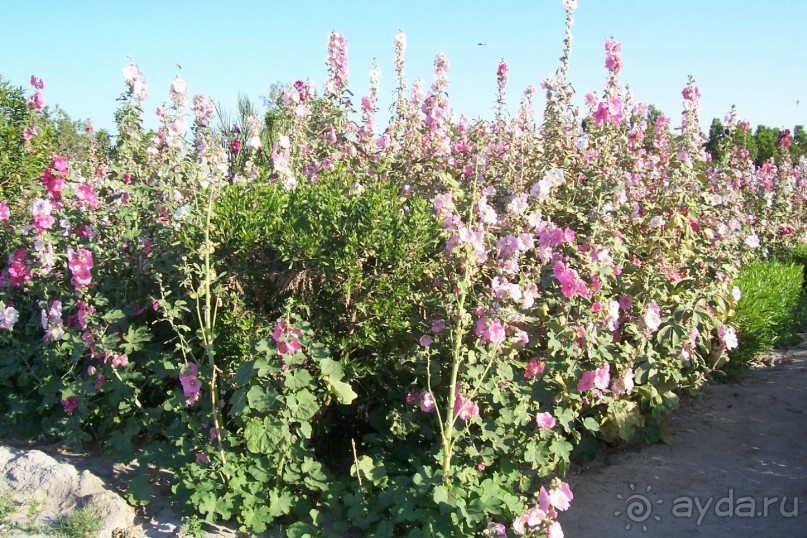 Египет: часть 1: Хургада - начальный и конечный пункты путешествия