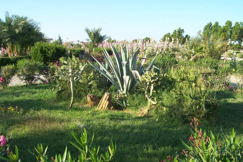 Египет: часть 1: Хургада - начальный и конечный пункты путешествия
