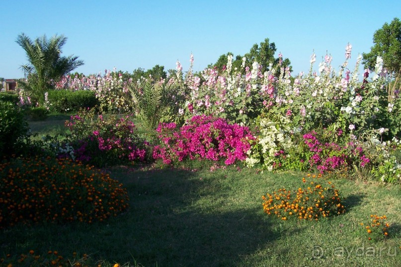 Египет: часть 1: Хургада - начальный и конечный пункты путешествия