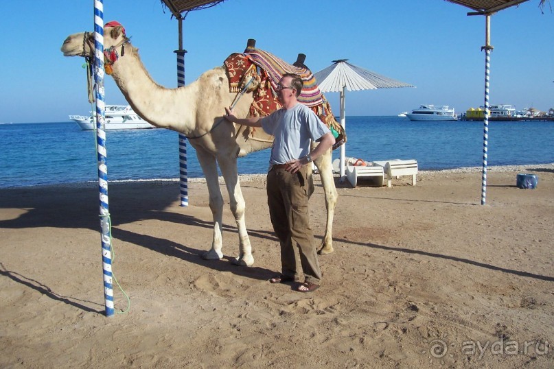 Египет: часть 1: Хургада - начальный и конечный пункты путешествия