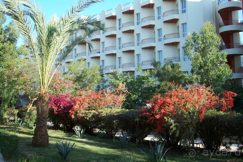 Египет: часть 1: Хургада - начальный и конечный пункты путешествия