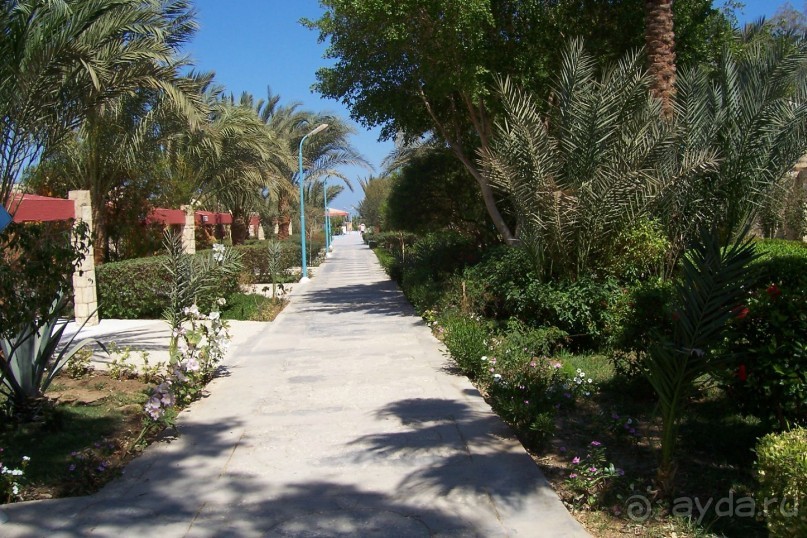 Египет: часть 1: Хургада - начальный и конечный пункты путешествия