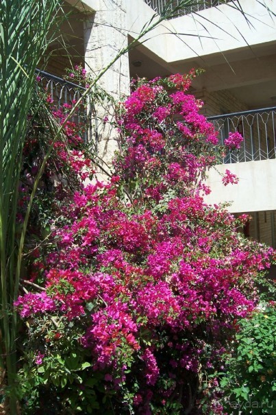 Египет: часть 1: Хургада - начальный и конечный пункты путешествия