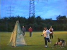 Впервые на машине в Германию с овчаркой: Киркхайм и Рикельсхайм