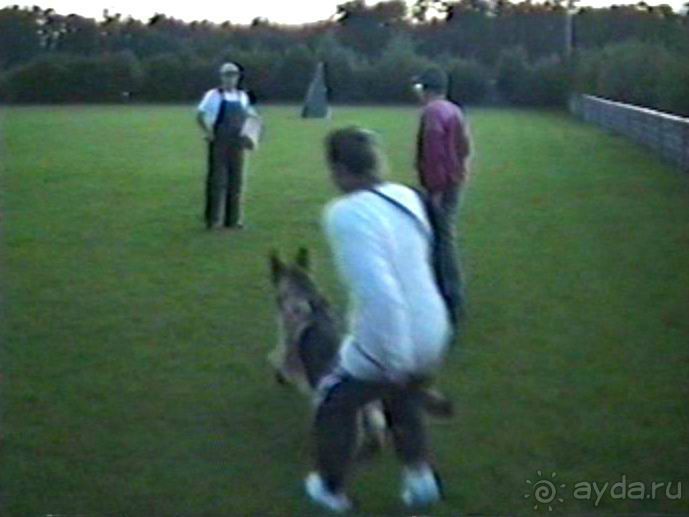 Впервые на машине в Германию с овчаркой: Киркхайм и Рикельсхайм