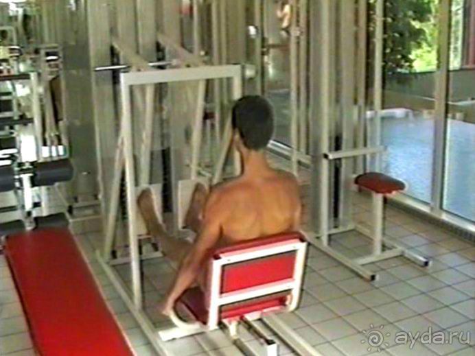 Впервые на машине в Германию с овчаркой: Киркхайм и Рикельсхайм