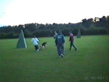 Впервые на машине в Германию с овчаркой: Киркхайм и Рикельсхайм