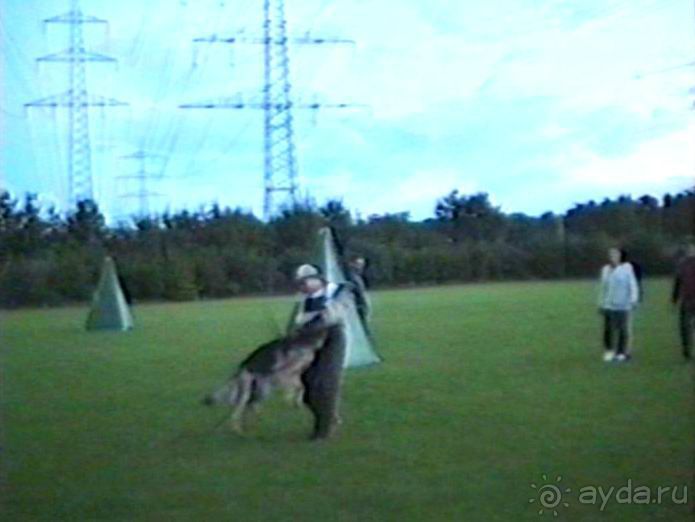 Впервые на машине в Германию с овчаркой: Киркхайм и Рикельсхайм