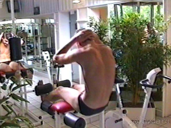 Впервые на машине в Германию с овчаркой: Киркхайм и Рикельсхайм