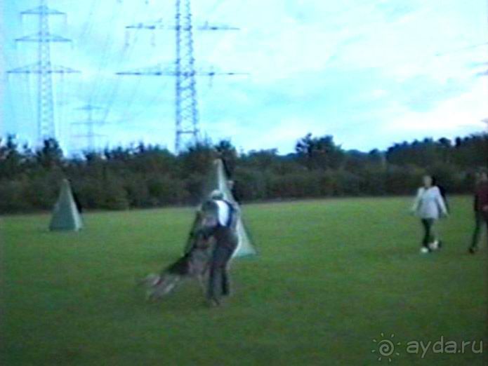 Впервые на машине в Германию с овчаркой: Киркхайм и Рикельсхайм