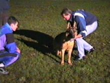 Впервые на машине в Германию с овчаркой: Киркхайм и Рикельсхайм