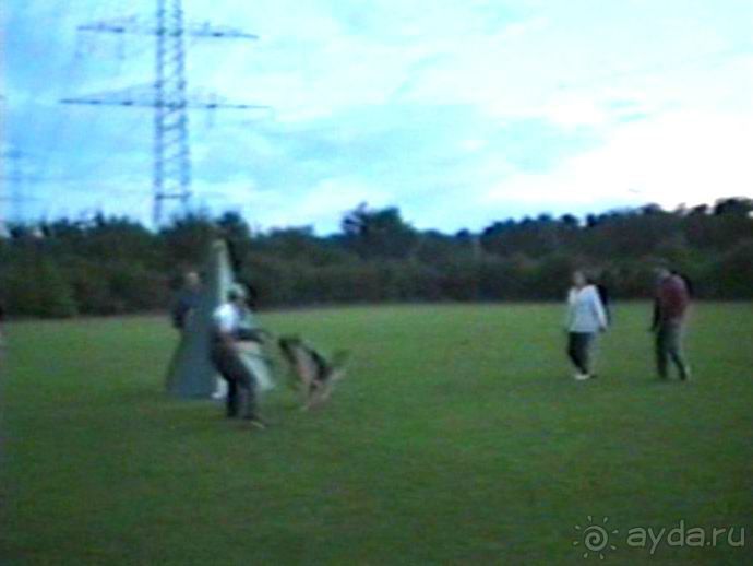 Впервые на машине в Германию с овчаркой: Киркхайм и Рикельсхайм