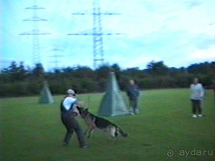 Впервые на машине в Германию с овчаркой: Киркхайм и Рикельсхайм