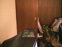 Впервые на машине в Германию с овчаркой: Киркхайм и Рикельсхайм