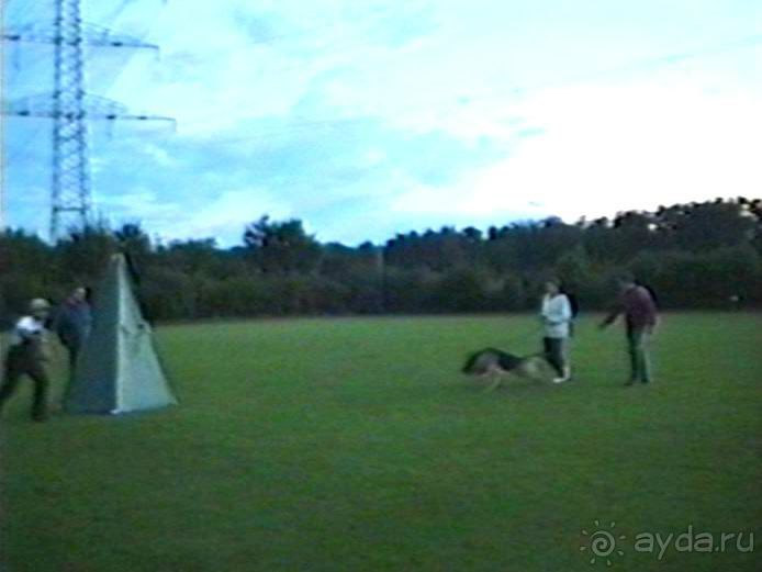 Впервые на машине в Германию с овчаркой: Киркхайм и Рикельсхайм