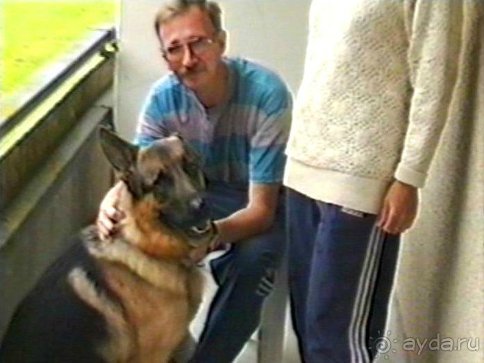 Впервые на машине в Германию с овчаркой: Киркхайм и Рикельсхайм